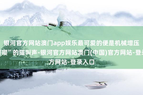 银河官方网站澳门app娱乐最可爱的便是机械增压“嘤嘤嘤”的猫叫声-银河官方网站澳门(中国)官方网站-登录入口