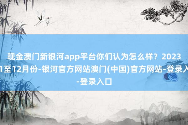 现金澳门新银河app平台你们认为怎么样？2023年1至12月份-银河官方网站澳门(中国)官方网站-登录入口