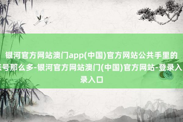 银河官方网站澳门app(中国)官方网站公共手里的账号那么多-银河官方网站澳门(中国)官方网站-登录入口