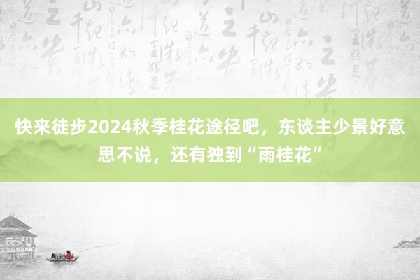 快来徒步2024秋季桂花途径吧，东谈主少景好意思不说，还有独到“雨桂花”