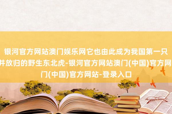 银河官方网站澳门娱乐网它也由此成为我国第一只被告捷救护并放归的野生东北虎-银河官方网站澳门(中国)官方网站-登录入口