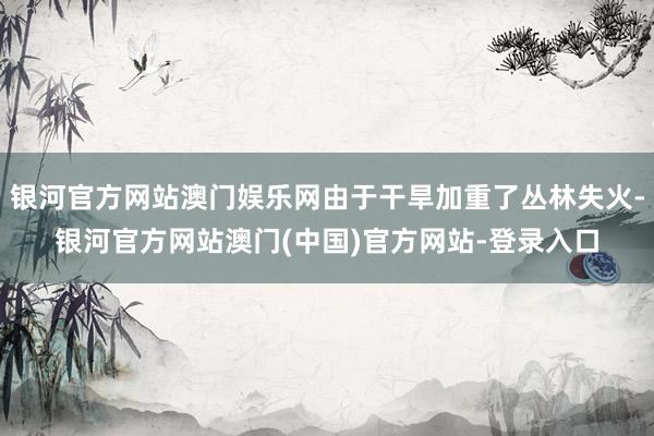 银河官方网站澳门娱乐网由于干旱加重了丛林失火-银河官方网站澳门(中国)官方网站-登录入口