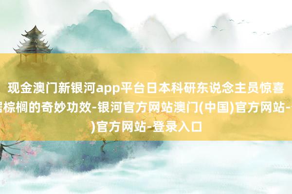 现金澳门新银河app平台日本科研东说念主员惊喜发现了锯棕榈的奇妙功效-银河官方网站澳门(中国)官方网站-登录入口