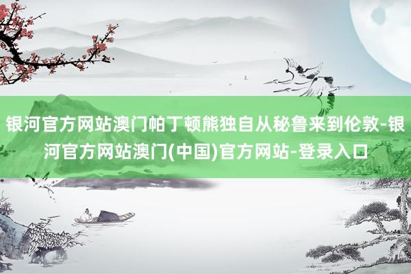 银河官方网站澳门帕丁顿熊独自从秘鲁来到伦敦-银河官方网站澳门(中国)官方网站-登录入口