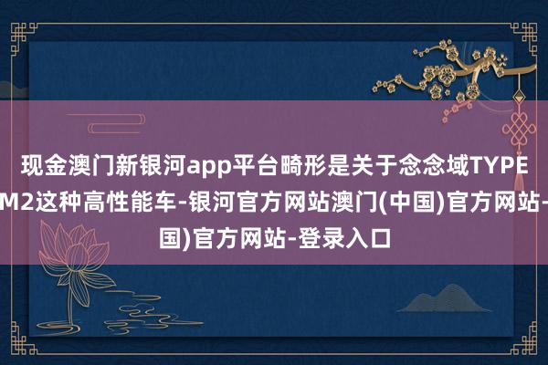 现金澳门新银河app平台畸形是关于念念域TYPE R、良马M2这种高性能车-银河官方网站澳门(中国)官方网站-登录入口