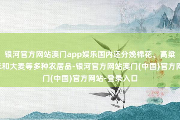 银河官方网站澳门app娱乐国内还分娩棉花、高粱、咖啡、玉米和大麦等多种农居品-银河官方网站澳门(中国)官方网站-登录入口