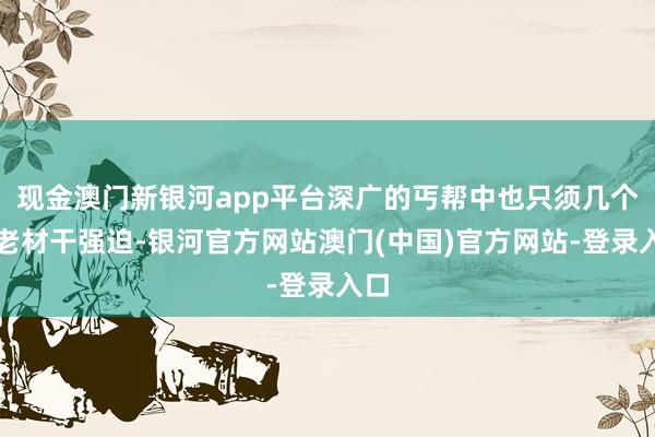 现金澳门新银河app平台深广的丐帮中也只须几个长老材干强迫-银河官方网站澳门(中国)官方网站-登录入口